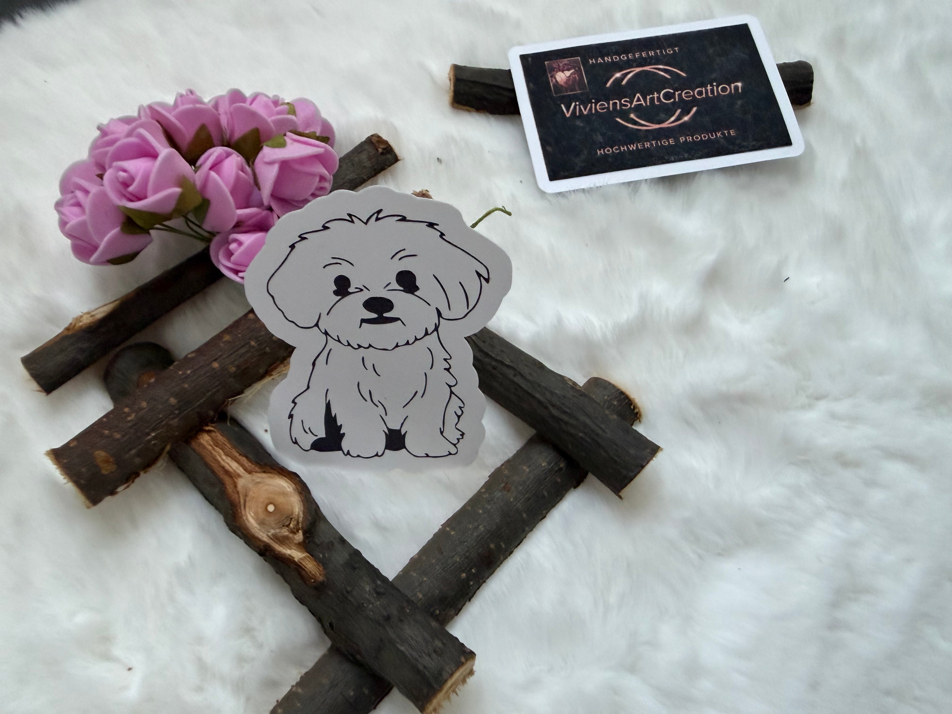 Mini Malteser Amadeus mittel