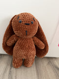 Hase "Timmy"